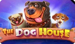 Dolly Casino offre il gioco online The Dog House
